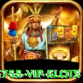 56755 VIP Slots