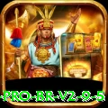 kkbpg Pro BR v2.9.5